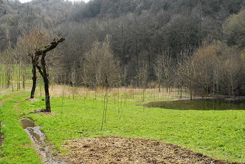 sentieri e paesaggi a Bolca di Vestenanova - Val d'Alpone, Lessinia Orientale