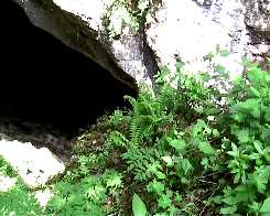 Covolo di Camposilvano