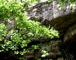 Covolo di Camposilvano