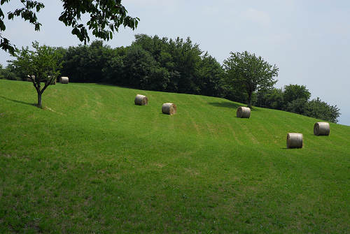 monte Crocetta, monte Pastelletto, Breonio di Fumane - Lessini, Montagna Veronese