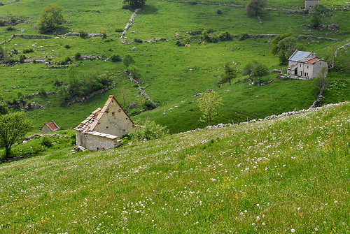 Madonna della Lobbia, Campofontana, Pagani, malga Lobbia
