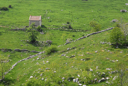 Madonna della Lobbia, Campofontana, Pagani, malga Lobbia