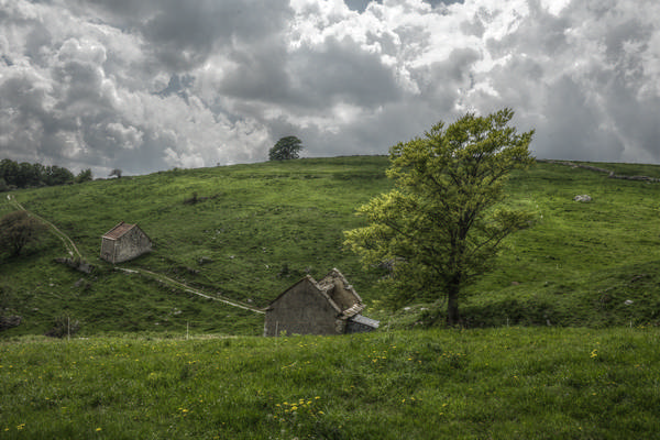 Madonna delle Lobbie a malga Lobbia, Pagani Campofontana, Selva di Progno
