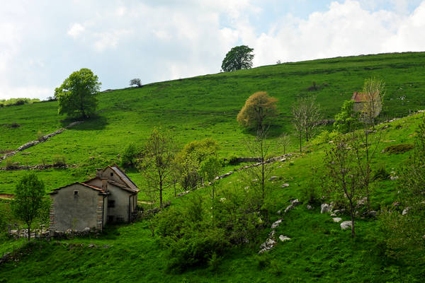 Madonna delle Lobbie a malga Lobbia, Pagani Campofontana, Selva di Progno