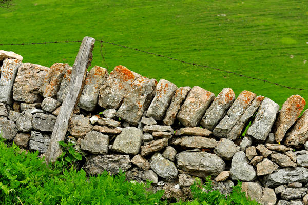 Madonna delle Lobbie a malga Lobbia, Pagani Campofontana, Selva di Progno