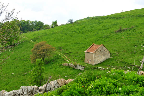 Madonna delle Lobbie a malga Lobbia, Pagani Campofontana, Selva di Progno