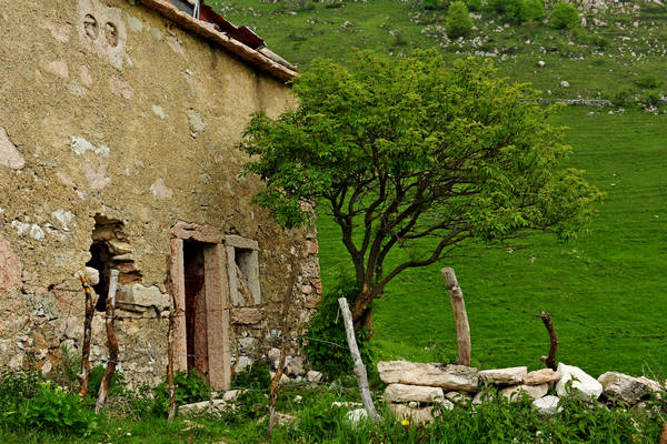 Madonna delle Lobbie a malga Lobbia, Pagani Campofontana, Selva di Progno