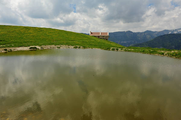 Madonna delle Lobbie a malga Lobbia, Pagani Campofontana, Selva di Progno