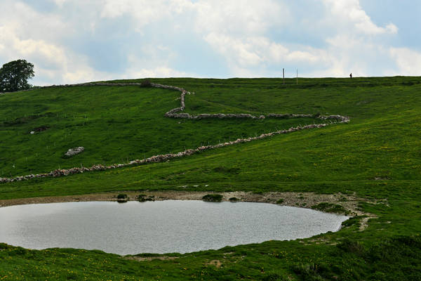 Madonna delle Lobbie a malga Lobbia, Pagani Campofontana, Selva di Progno