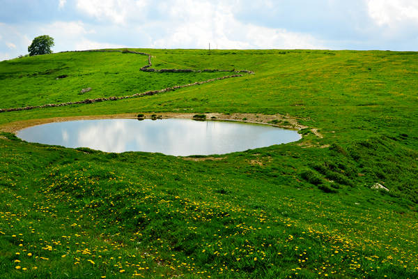 Madonna delle Lobbie a malga Lobbia, Pagani Campofontana, Selva di Progno