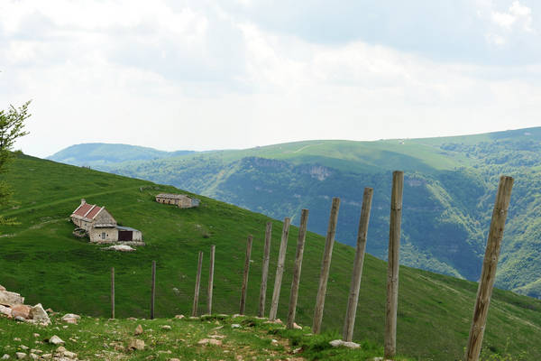 Madonna delle Lobbie a malga Lobbia, Pagani Campofontana, Selva di Progno