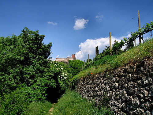 Sentiero Natura di Soave