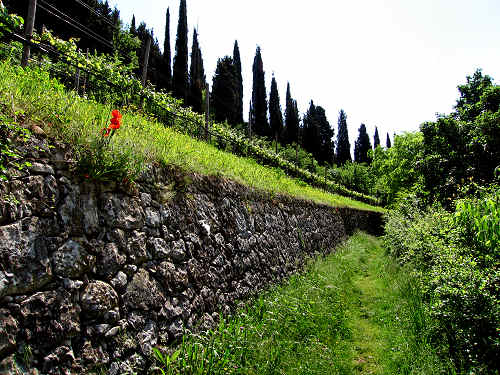 Sentiero Natura di Soave
