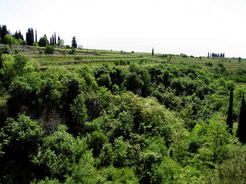 Sentiero Natura di Soave