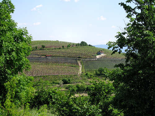 Sentiero Natura di Soave