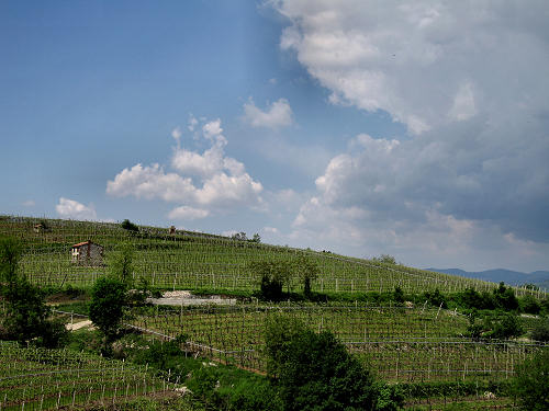Sentiero Natura di Soave