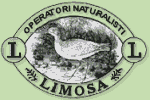 Associazione Limosa