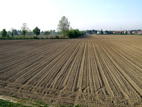 argine Roncajette del fiume Bacchiglione - da Padova a Bovolenta