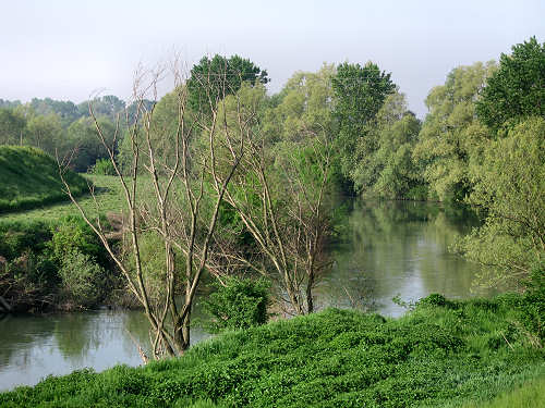 argine Roncajette del fiume Bacchiglione - da Padova a Bovolenta