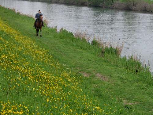 Padova - Canale Scaricatore e Canale San Gregorio