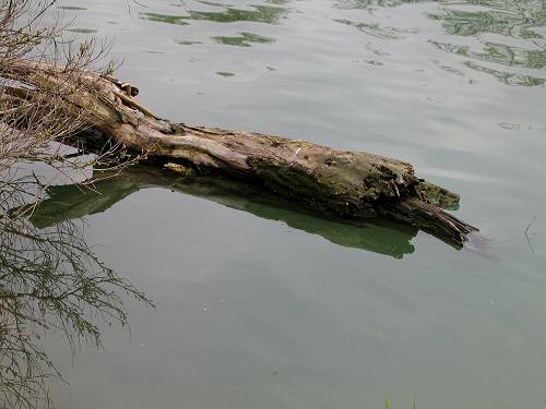 Padova - Canale Scaricatore e Canale San Gregorio