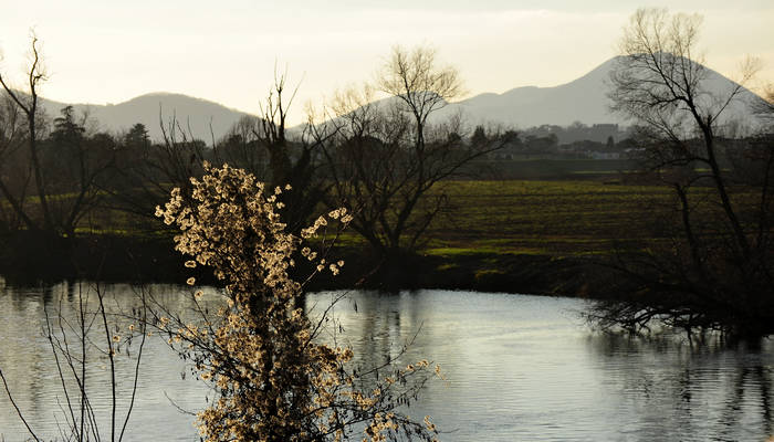 Bacchiglione Colli Euganei