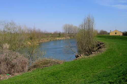 Fiume Bacchiglione