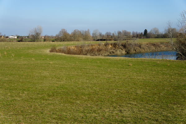 Il fiume Bacchiglione tra Selvazzano e Veggiano