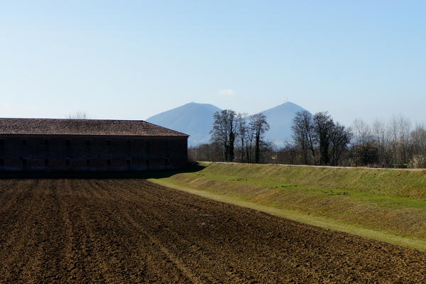 Il fiume Bacchiglione tra Selvazzano e Veggiano