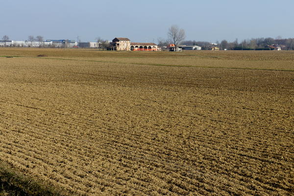 Il fiume Bacchiglione tra Selvazzano e Veggiano