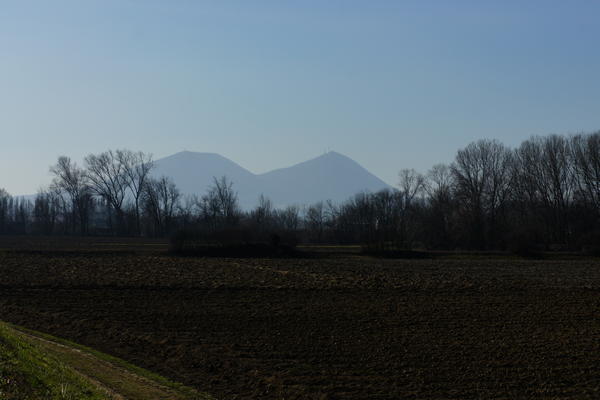 Il fiume Bacchiglione tra Selvazzano e Veggiano