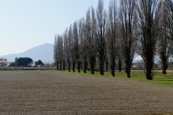 Il fiume Bacchiglione tra Selvazzano e Veggiano