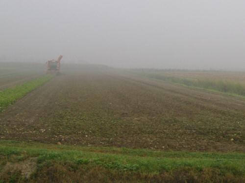 Brenta d'Abbà - Correzzola
