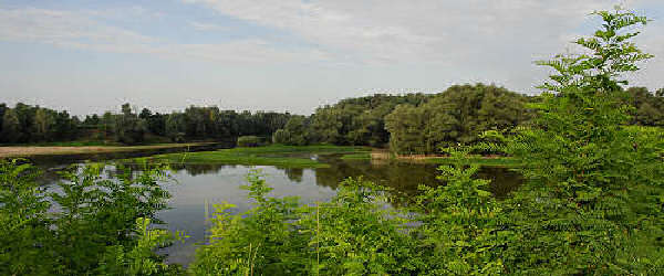 fiume Brenta a Curtarolo