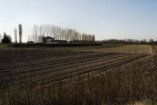 Limena lungo gli argini del fiume Brenta
