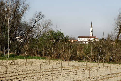 Limena lungo gli argini del fiume Brenta