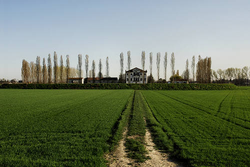 Limena lungo gli argini del fiume Brenta
