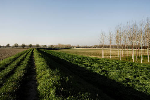 Limena lungo gli argini del fiume Brenta