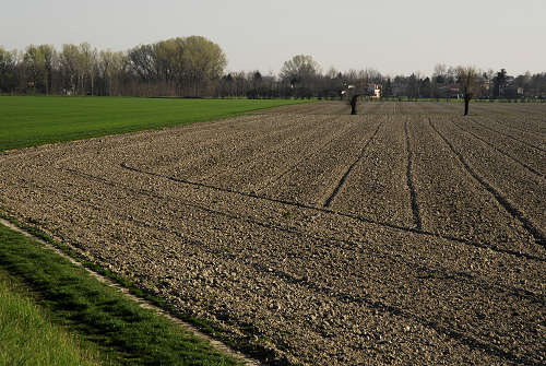 Limena lungo gli argini del fiume Brenta