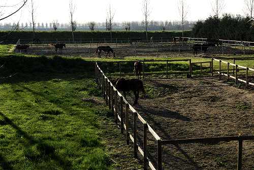 Limena lungo gli argini del fiume Brenta