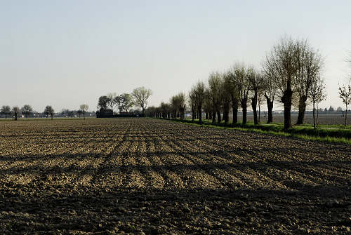 Limena lungo gli argini del fiume Brenta