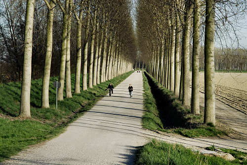 Limena lungo gli argini del fiume Brenta