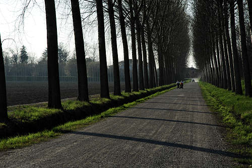 Limena lungo gli argini del fiume Brenta