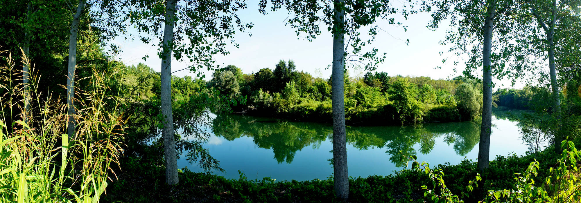 fiume Brenta a Piazzola sul Brenta
