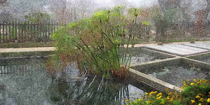 Orto Botanico Padova