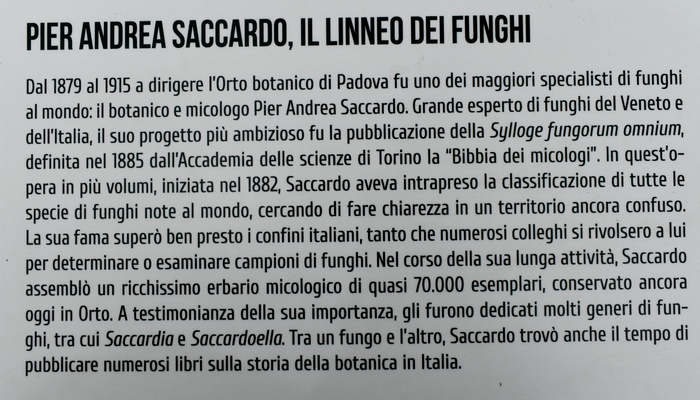 Padova Orto Botanico Universitario