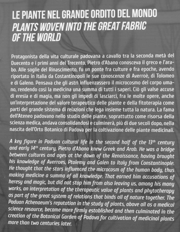 Padova Orto Botanico Universitario