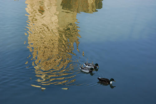 Padova, La Specola - Torlonga e Castello Ezzelino
