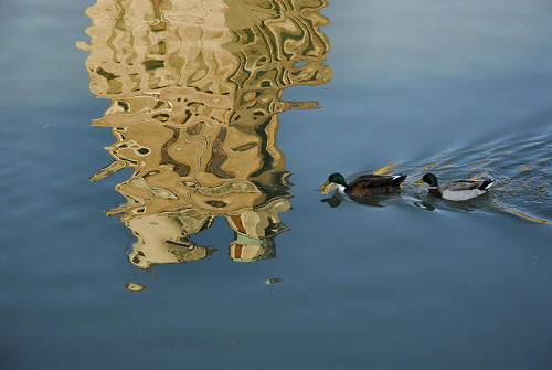 Padova, La Specola - Torlonga e Castello Ezzelino