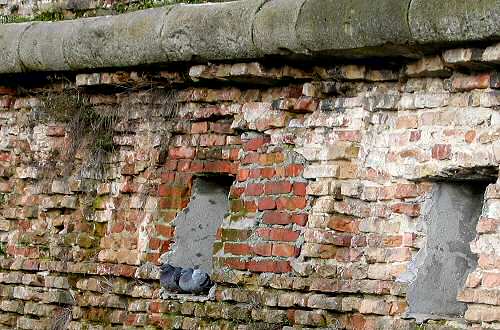 Padova - mura veneziane